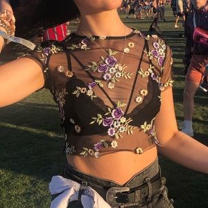 Urban Outfitters Sheer Embroidered Crop Top